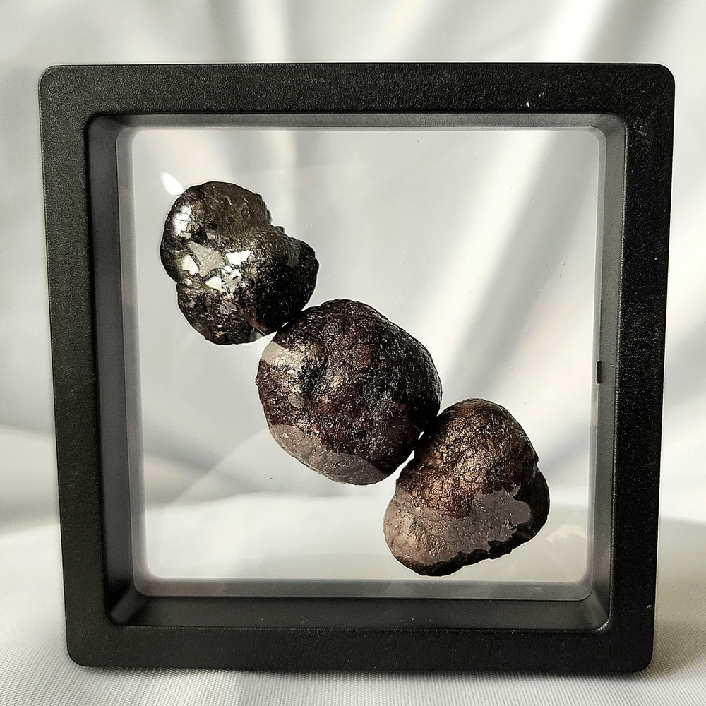 Dragon Egg Early Diagenetic Cretaceous Pyrite Nodule Concretion Mooreville Chalk